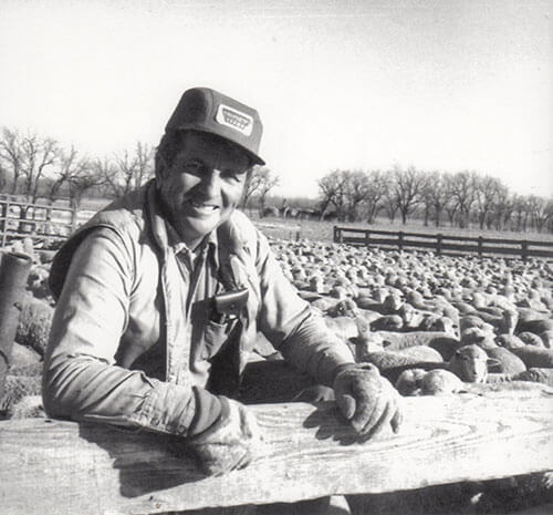 Harold D. with sheep