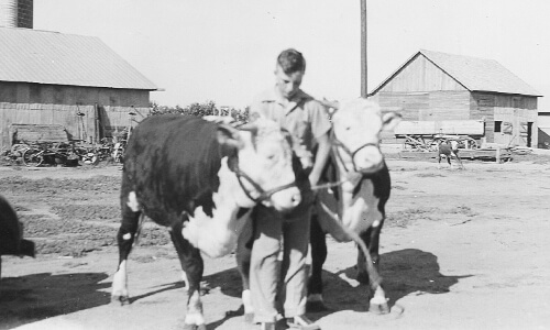 Harold D. joins the family farming and ranching operation